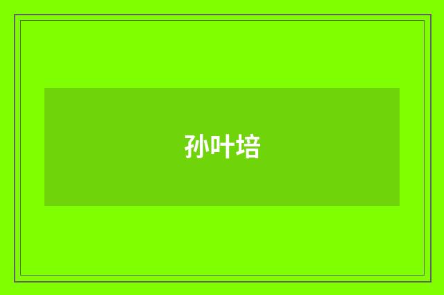 孙叶培品牌