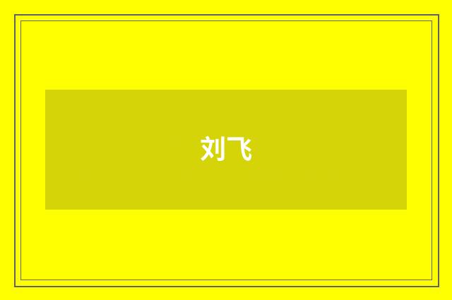刘飞