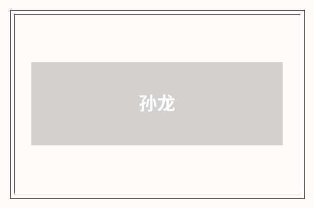 孙龙
