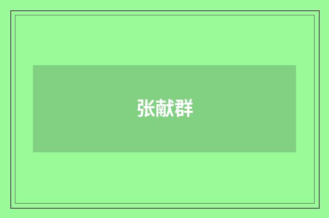 张献群品牌