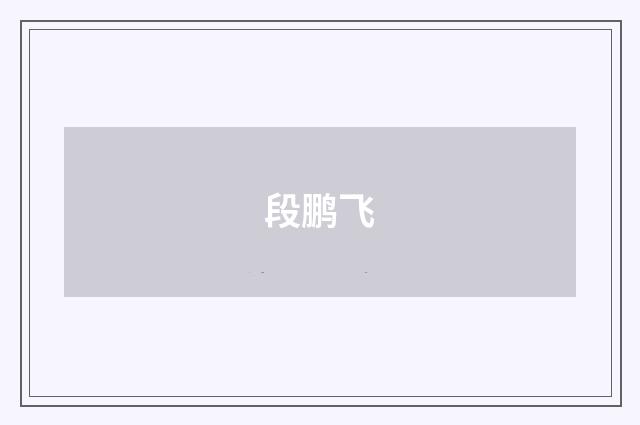 段鹏飞