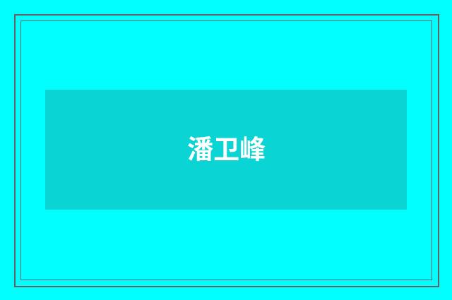 潘卫峰