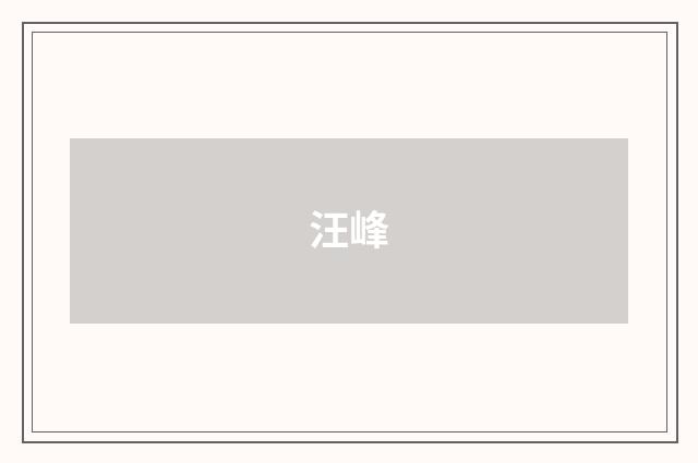 汪峰