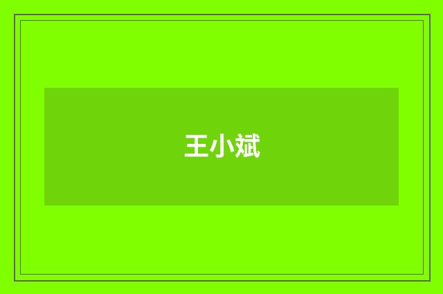 王小斌品牌