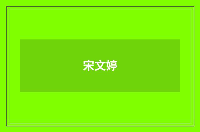 宋文婷品牌