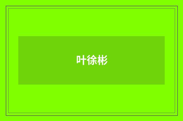 叶徐彬