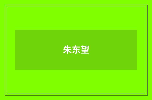 朱东望