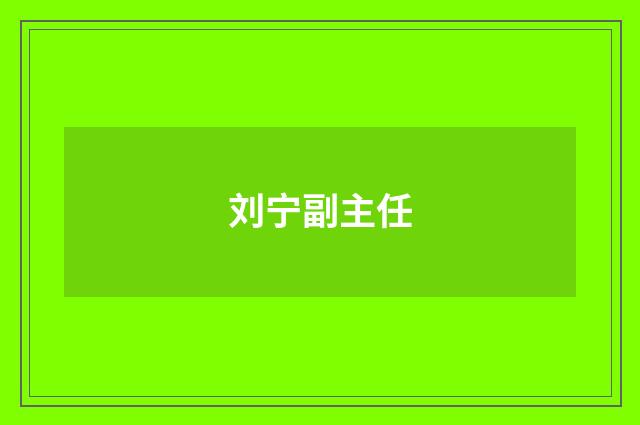 刘宁副主任
