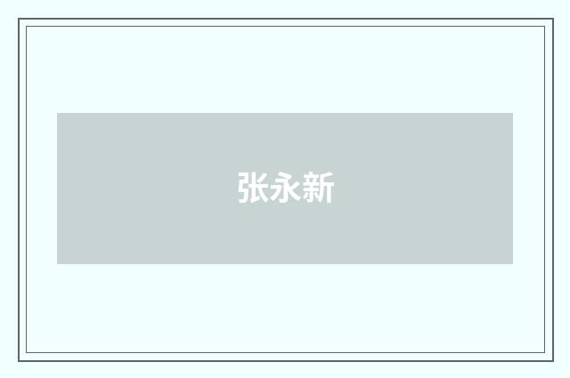 张永新品牌
