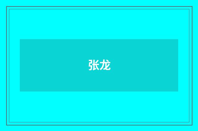 张龙