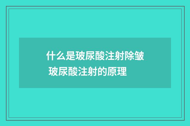 什么是玻尿酸注射除皱 玻尿酸注射的原理