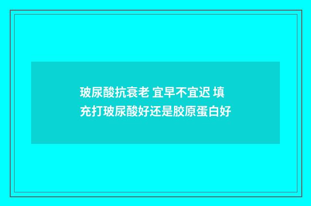 玻尿酸抗衰老 宜早不宜迟 填充打玻尿酸好还是胶原蛋白好