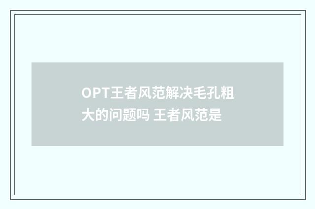 OPT王者风范解决毛孔粗大的问题吗 王者风范是