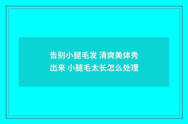 告别小腿毛发 清爽美体秀出来 小腿毛太长怎么处理