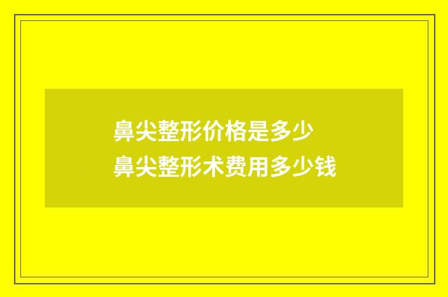鼻尖整形价格是多少 鼻尖整形术费用多少钱