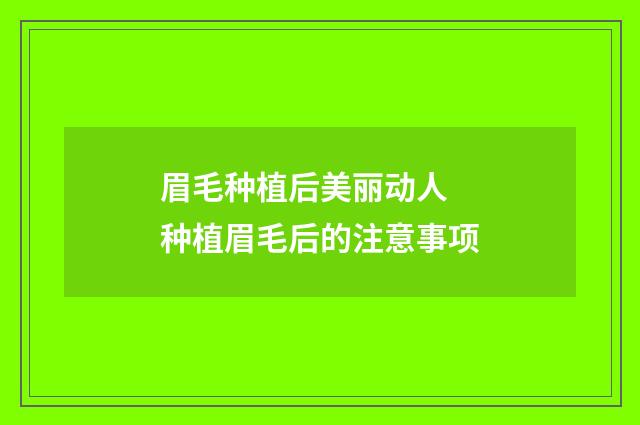 眉毛种植后美丽动人 种植眉毛后的注意事项