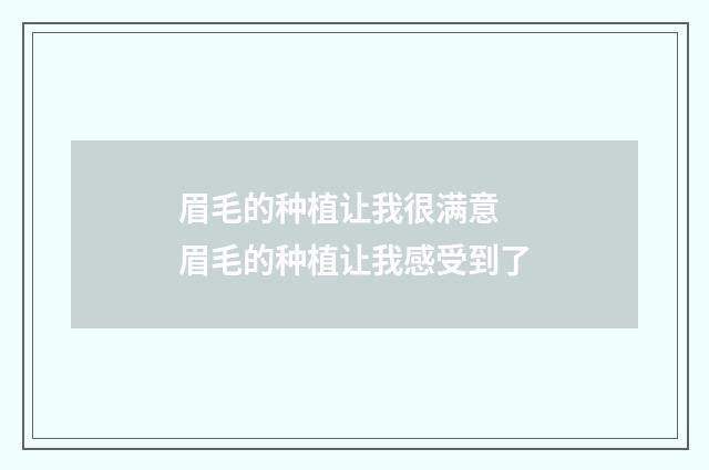 眉毛的种植让我很满意 眉毛的种植让我感受到了