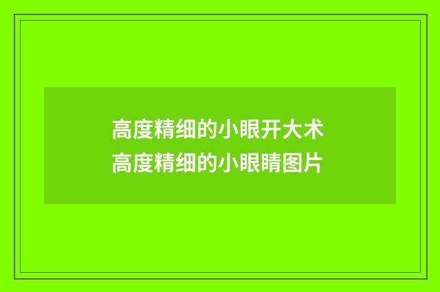 高度精细的小眼开大术 高度精细的小眼睛图片