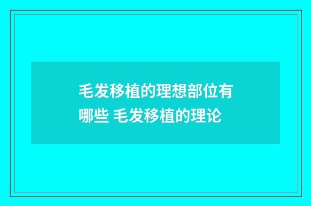 毛发移植的理想部位有哪些 毛发移植的理论