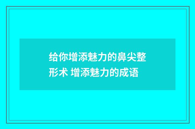 给你增添魅力的鼻尖整形术 增添魅力的成语