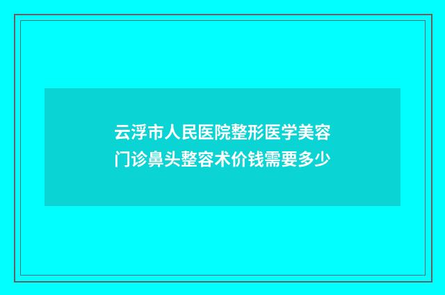 云浮市人民医院整形医学美容门诊鼻头整容术价钱需要多少