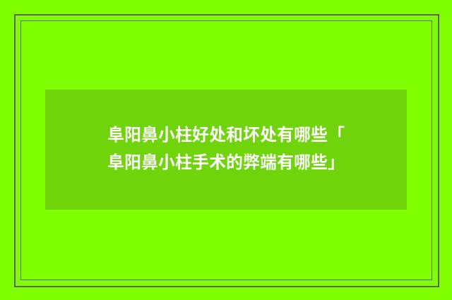 阜阳鼻小柱好处和坏处有哪些「阜阳鼻小柱手术的弊端有哪些」