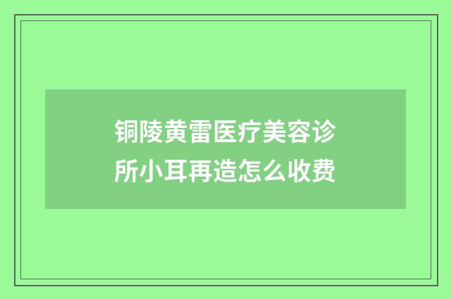 铜陵黄雷医疗美容诊所小耳再造怎么收费