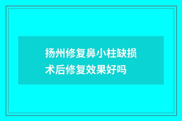 扬州修复鼻小柱缺损术后修复效果好吗