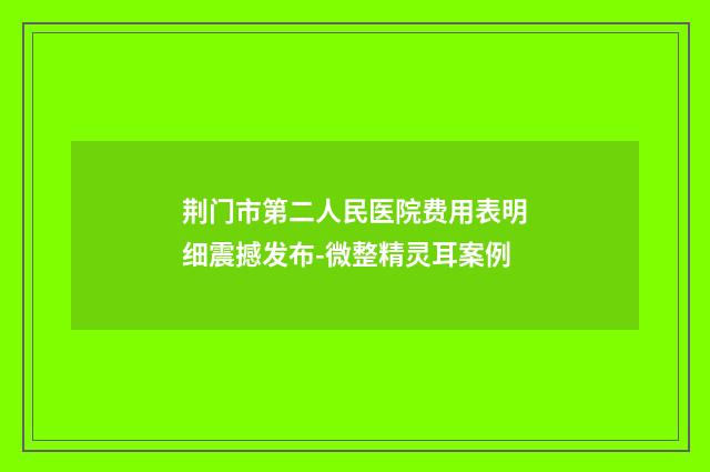荆门市第二人民医院费用表明细震撼发布-微整精灵耳案例