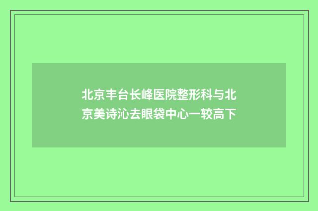 北京丰台长峰医院整形科与北京美诗沁去眼袋中心一较高下