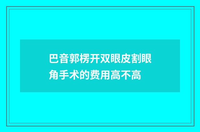 巴音郭楞开双眼皮割眼角手术的费用高不高