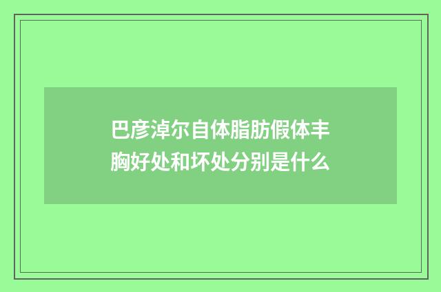 巴彦淖尔自体脂肪假体丰胸好处和坏处分别是什么