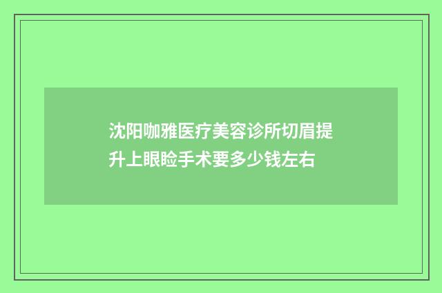 沈阳咖雅医疗美容诊所切眉提升上眼睑手术要多少钱左右