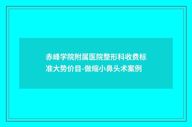 赤峰学院附属医院整形科收费标准大势价目-做缩小鼻头术案例