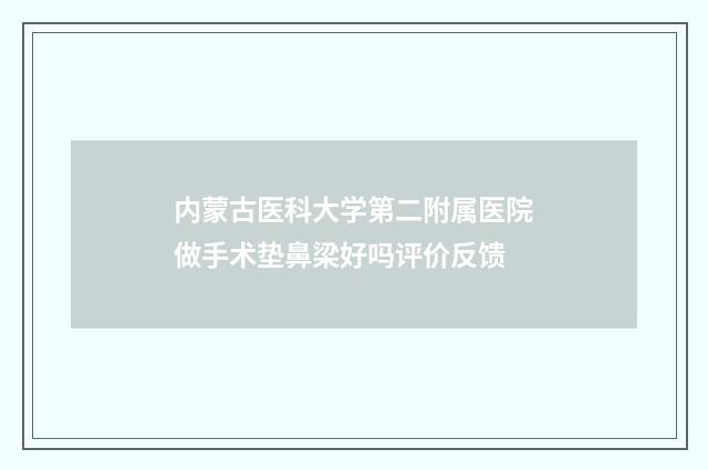 内蒙古医科大学第二附属医院做手术垫鼻梁好吗评价反馈