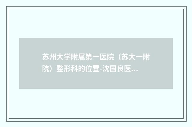 苏州大学附属第一医院（苏大一附院）整形科的位置-沈国良医生,林伟医生深扒实力、价格