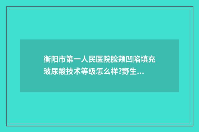 衡阳市第一人民医院脸颊凹陷填充玻尿酸技术等级怎么样?野生案例 衡阳市第一人民医院是三甲么