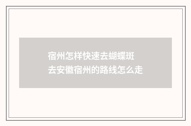宿州怎样快速去蝴蝶斑 去安徽宿州的路线怎么走