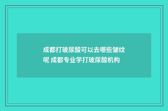 成都打玻尿酸可以去哪些皱纹呢 成都专业学打玻尿酸机构