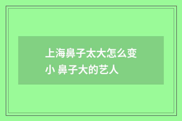 上海鼻子太大怎么变小 鼻子大的艺人
