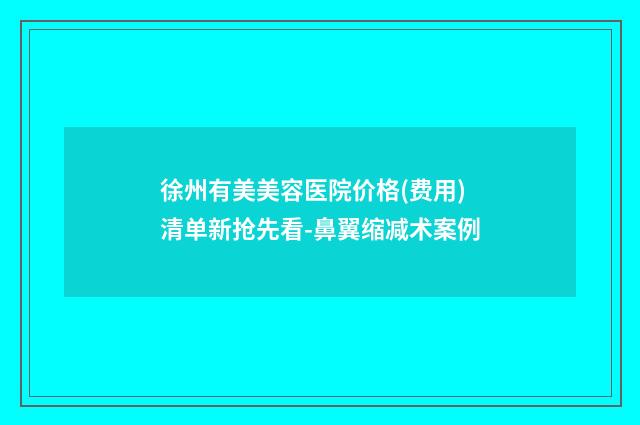 徐州有美美容医院价格(费用)清单新抢先看-鼻翼缩减术案例