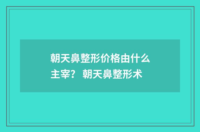 朝天鼻整形价格由什么主宰？ 朝天鼻整形术