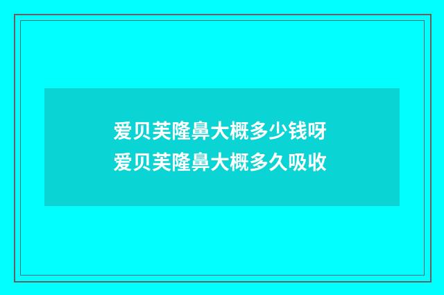 爱贝芙隆鼻大概多少钱呀 爱贝芙隆鼻大概多久吸收