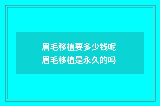 眉毛移植要多少钱呢 眉毛移植是永久的吗
