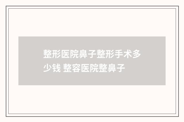 整形医院鼻子整形手术多少钱 整容医院整鼻子