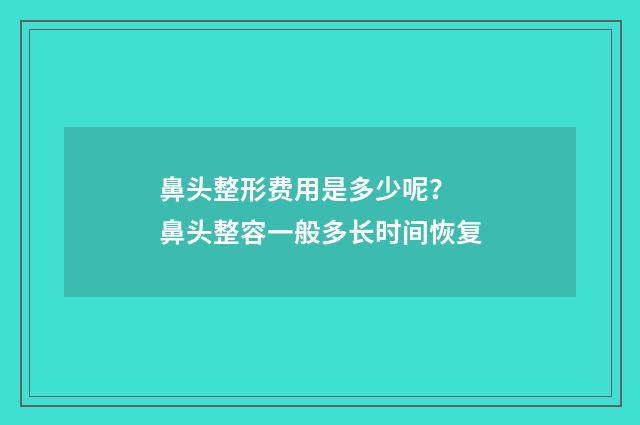 鼻头整形费用是多少呢？ 鼻头整容一般多长时间恢复