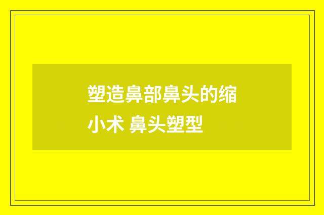 塑造鼻部鼻头的缩小术 鼻头塑型