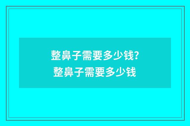 整鼻子需要多少钱？ 整鼻子需要多少钱