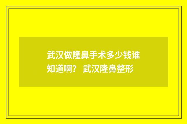 武汉做隆鼻手术多少钱谁知道啊？ 武汉隆鼻整形