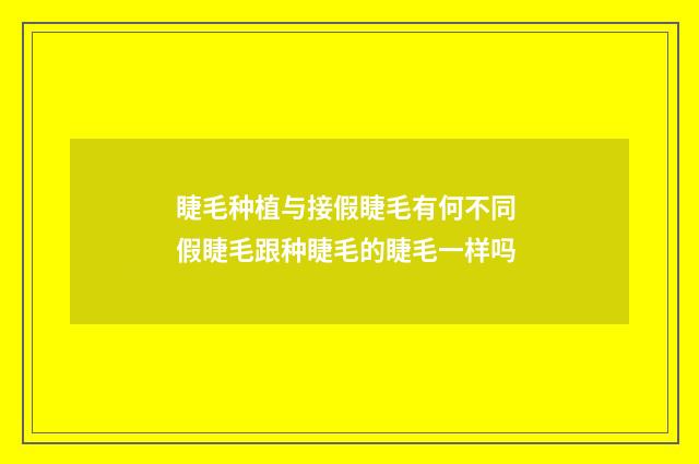睫毛种植与接假睫毛有何不同 假睫毛跟种睫毛的睫毛一样吗